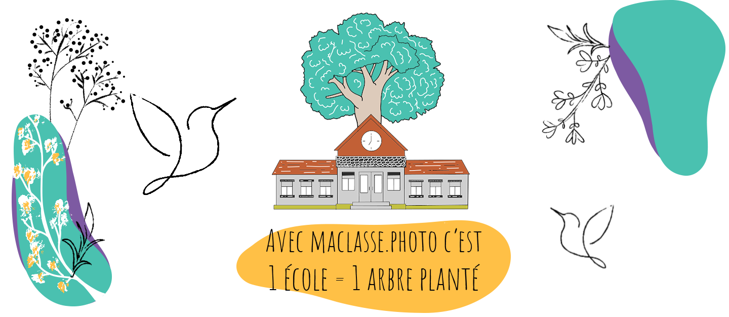 Opération 1 école = 1 arbre planté